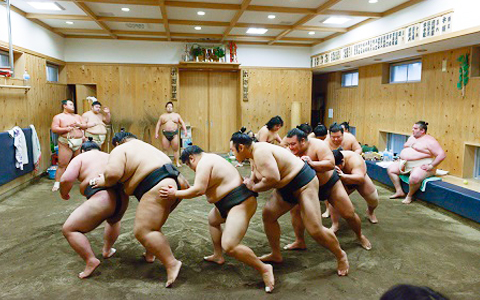 相撲部屋の紹介